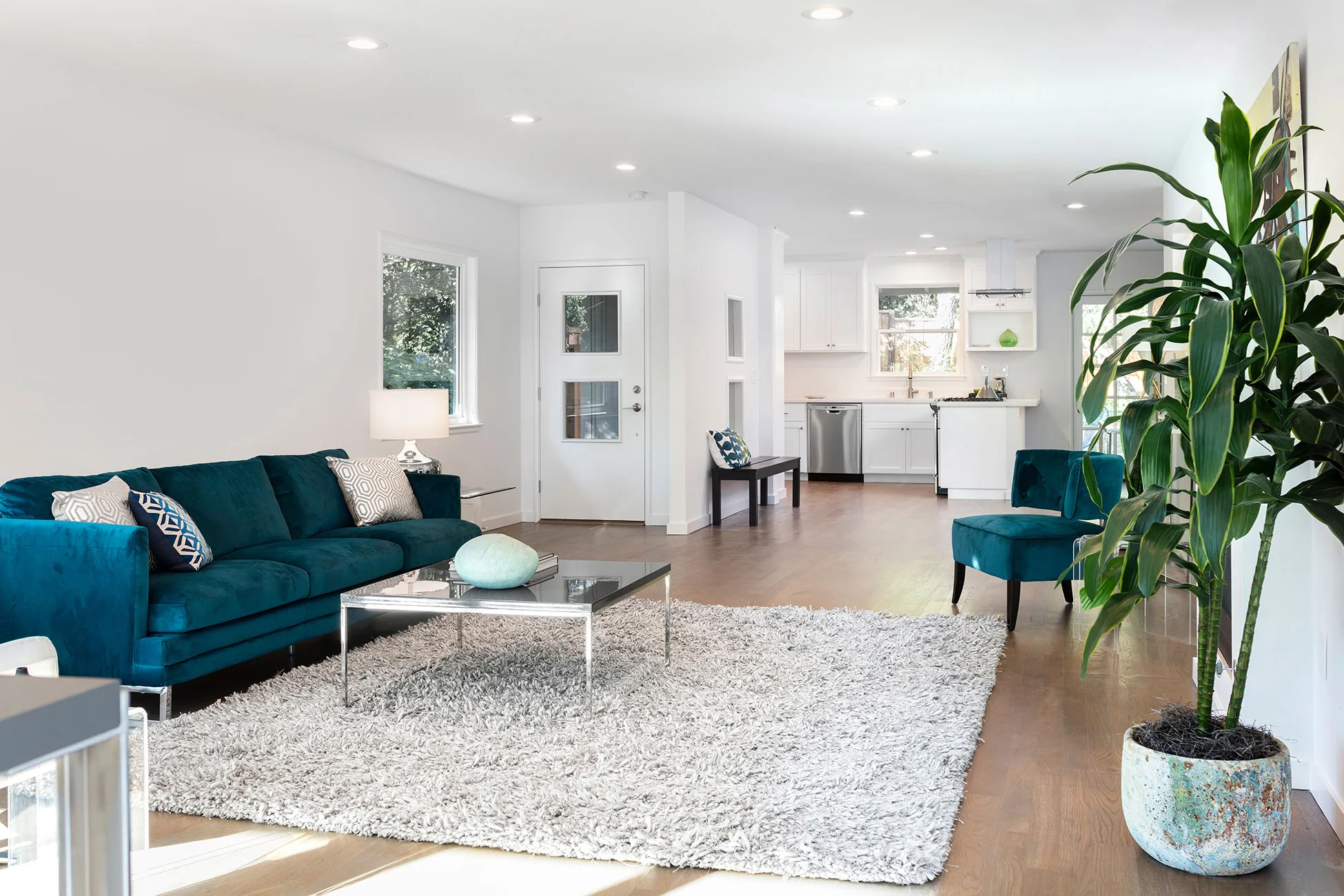 A living room filled with furniture and a large plant.